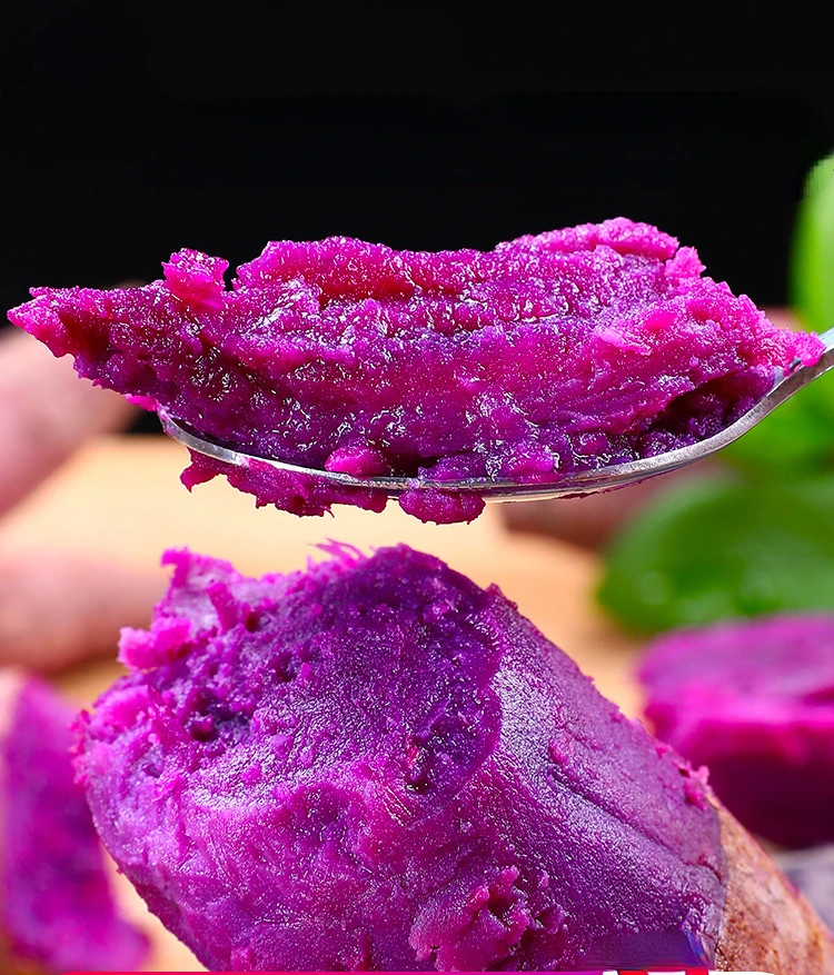 На фермах, установлено высокое качество для экспорта Китай свежий сладкий картофель естественно сладкий