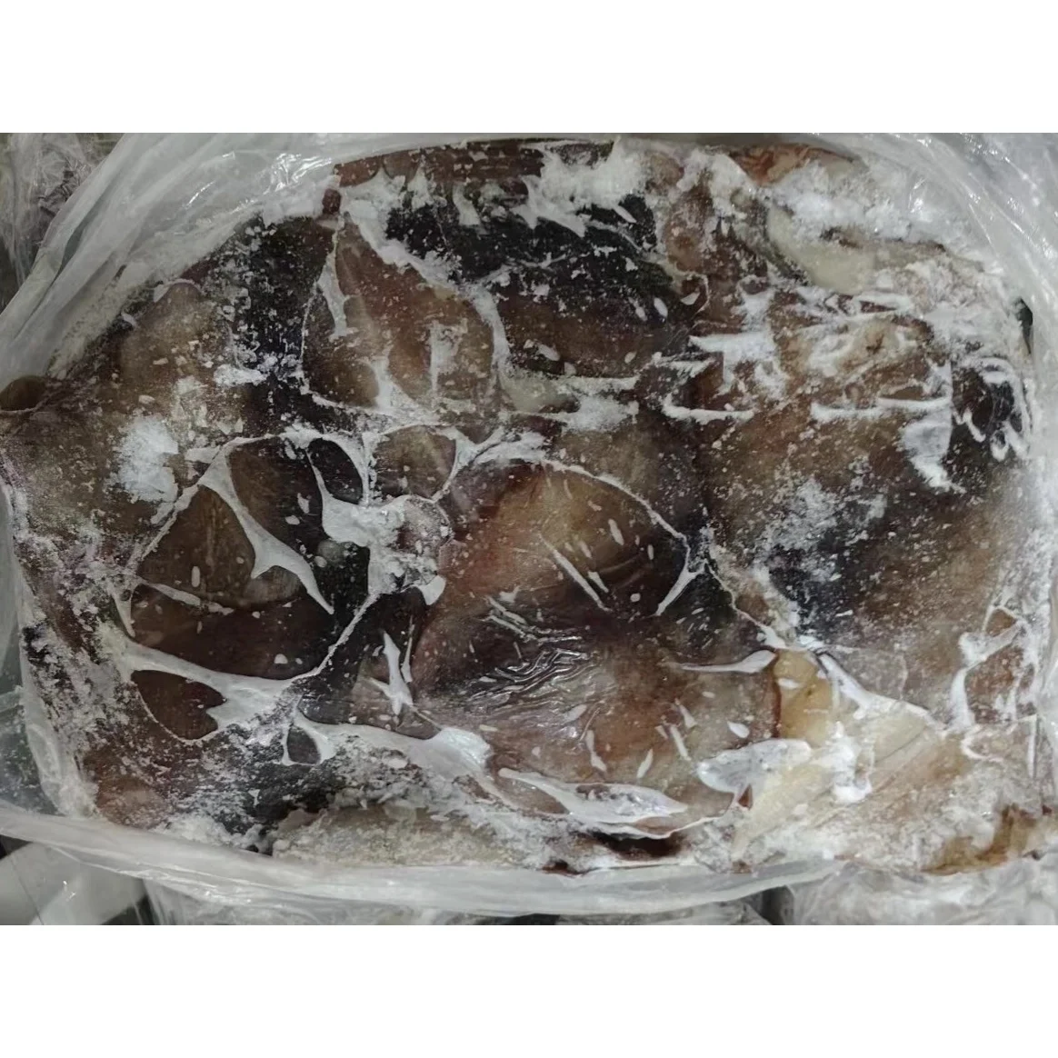 Frozen Seafood 1-2kg BQF Frozen Squid Wings/Ear