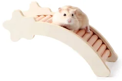 Hamster cage modeling platform landscape solid wood multifunctional second floor board attic hamster gold bear toy supplies