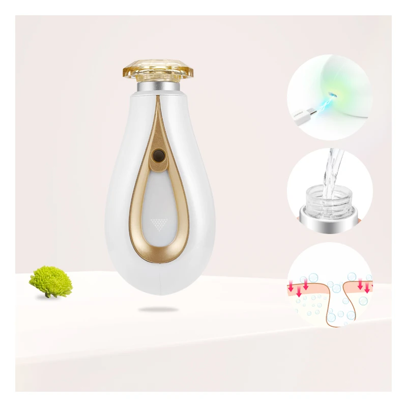 Portable Facial Sprayer for moisturizing and face wrinkles removal
