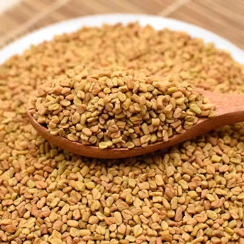 Factory Supply Natural High Quality Fenugreek Seeds bulk price Hu Lu Ba
