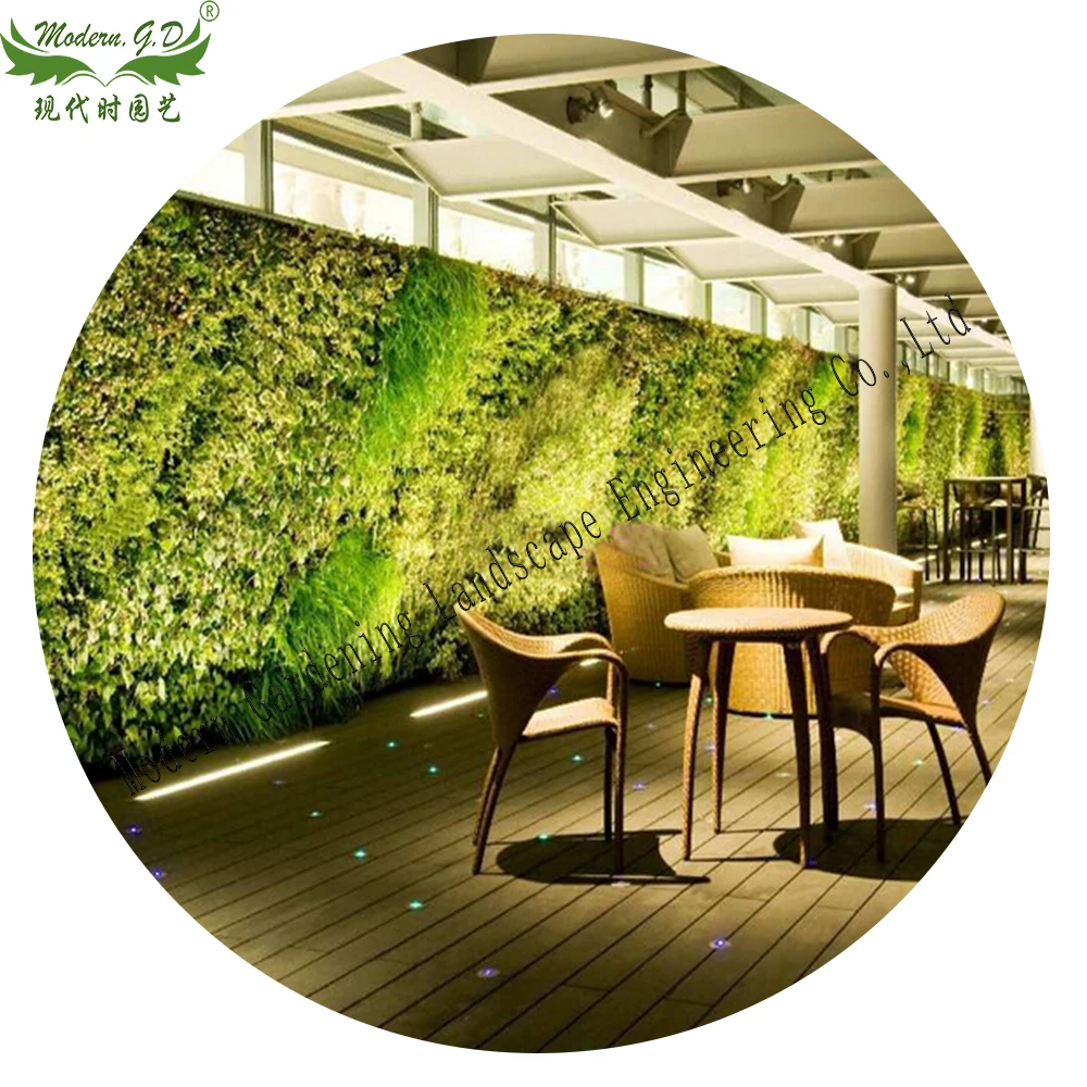 Vertical green planter wall garden pot air plants frame  tillandsia wall  display succulent stand flower