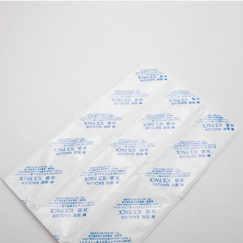 BSG Shipping Food Multifunctional Popular Reusable Small Cooler Bag Gel Ice Pack