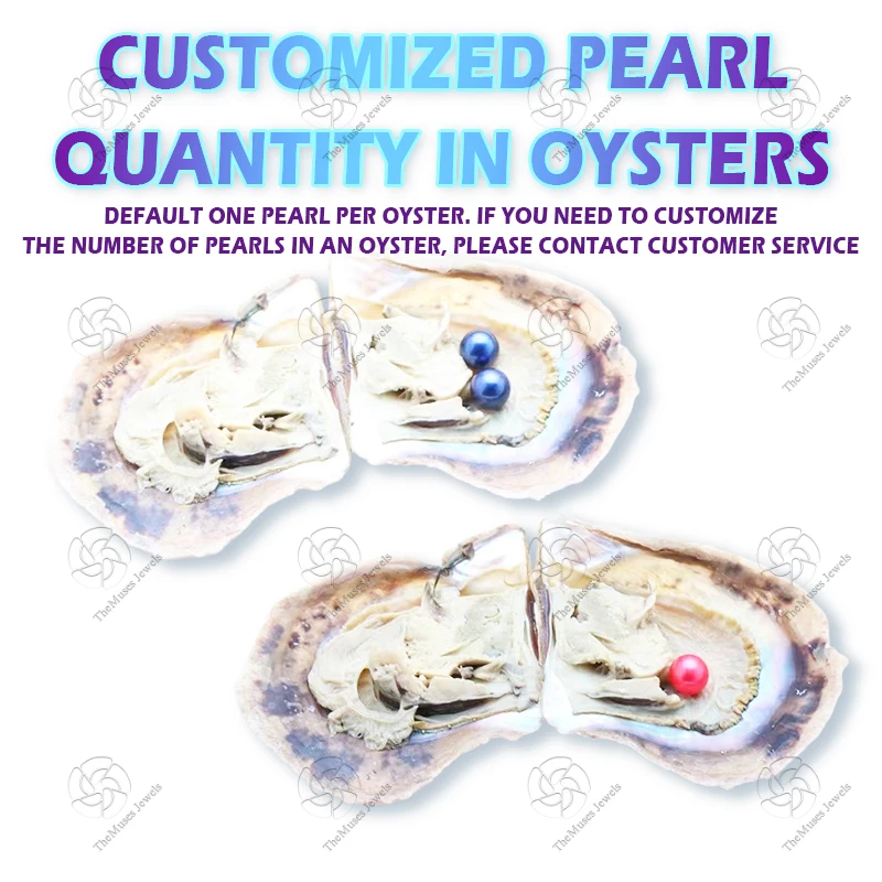 Freshwater Oyster Shell Pearl Live Oysters Kit with Pearls for Jewelry & Jewelry Making Competitive Price perola facetadas