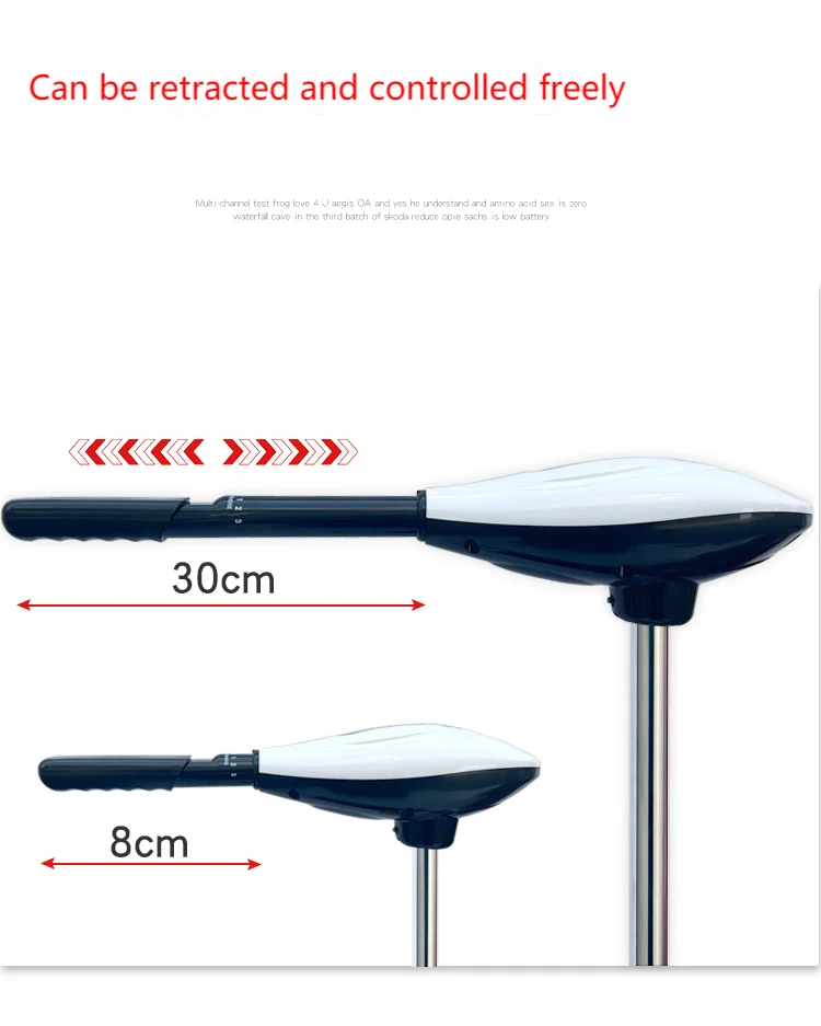 For Boat Sale Professional 12V 24V Brushless Electric Outboard Motor Boat Engine