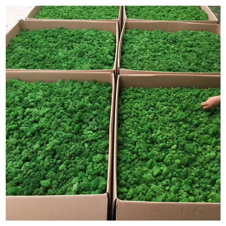 
Wholesale Artificial Lemon Bonsai Plants Artificial Fruit Tree for Decor Star Quantity Airport Wedding Technology Customized GUA 