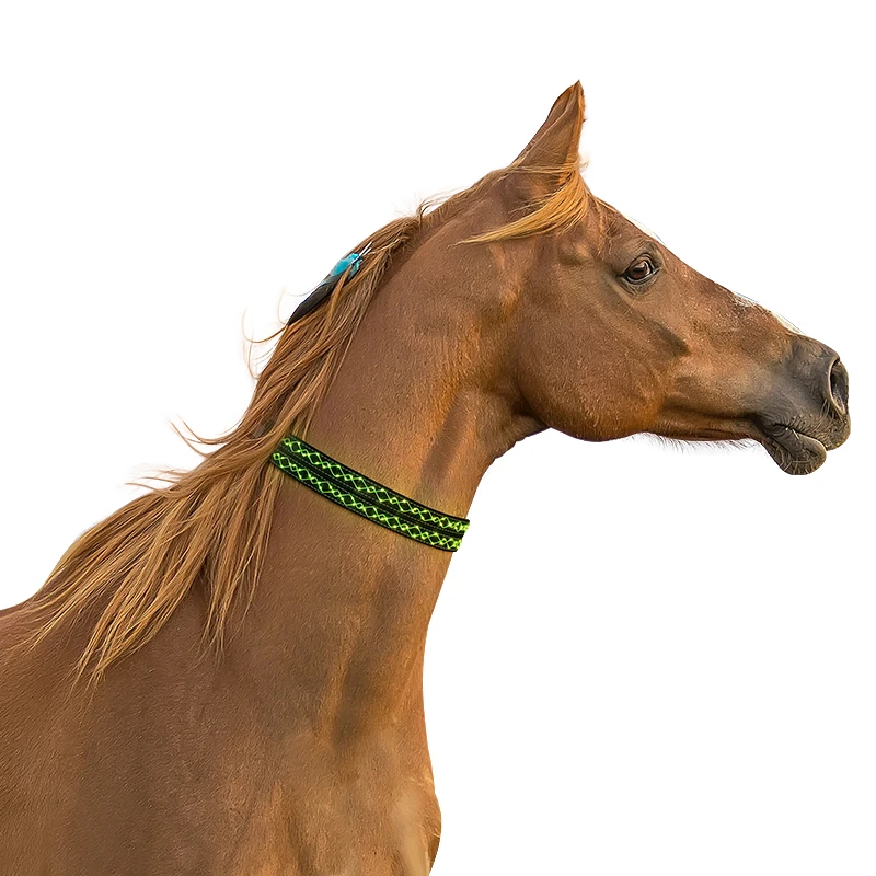 LED horse neck collar light up embroidery rope led horse breastplate neck