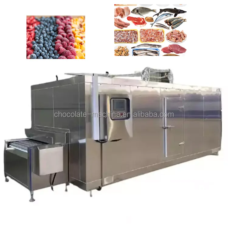 quick freezer tunnel machine belt conveyor vegetable fruit fish seafood meat beef freezer
