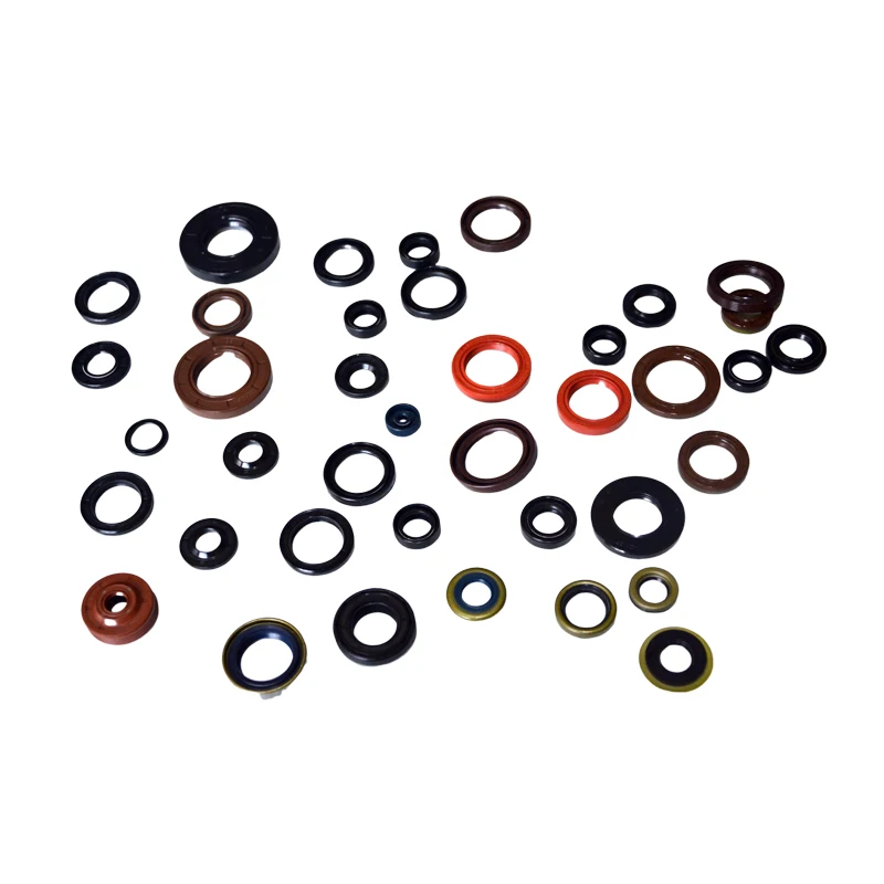 High Quality Auto Engine Parts Cars Repair Gasket Oil Seal Kit Different Types of Oil Seals TC TB TG SC VC TA Oilseal
