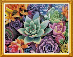 Handmade Arts Needlework Cross Stitch Succulent Plants Designs Cross-Stitch Kits