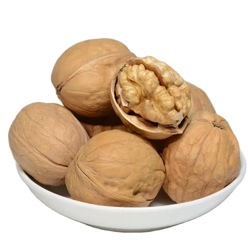 Wholesale Export 2023 Fresh Chinese Natural Picking Thin Shell Peeled Naked Walnuts