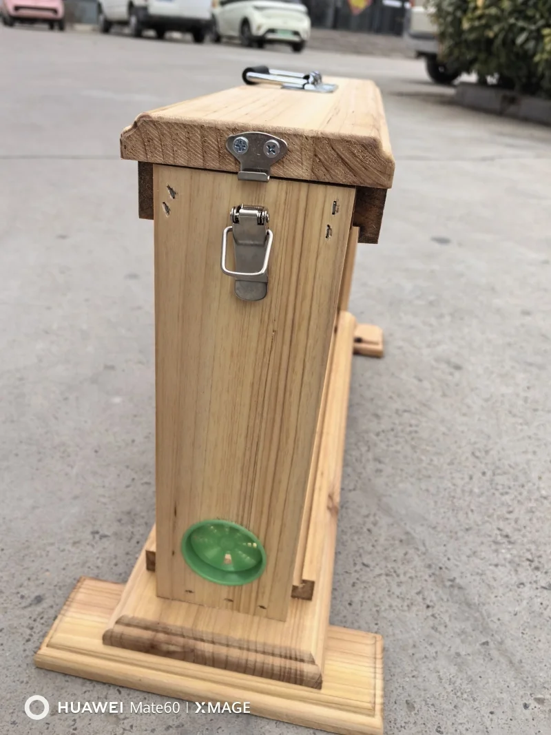 Оборудование для пчеловодства Образовательное наблюдение улей деревянный прозрачный ящик