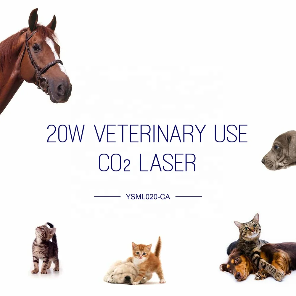 YSML020-CA Ysenmed 20KW Veterinary use CO2 Laser ultra pulse veterinary co2 surgery laser machine mobile surgical pet co2 laser