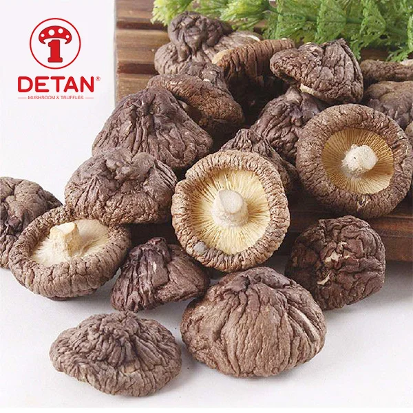 DETAN wholesale dry shiitake mushroom