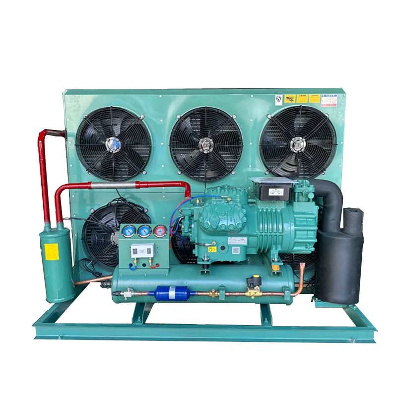 25HP/30HP/40HP Bitzer Piston Cooling Compressor Refrigerator Condensing Unit Low Temperature For Cold Room