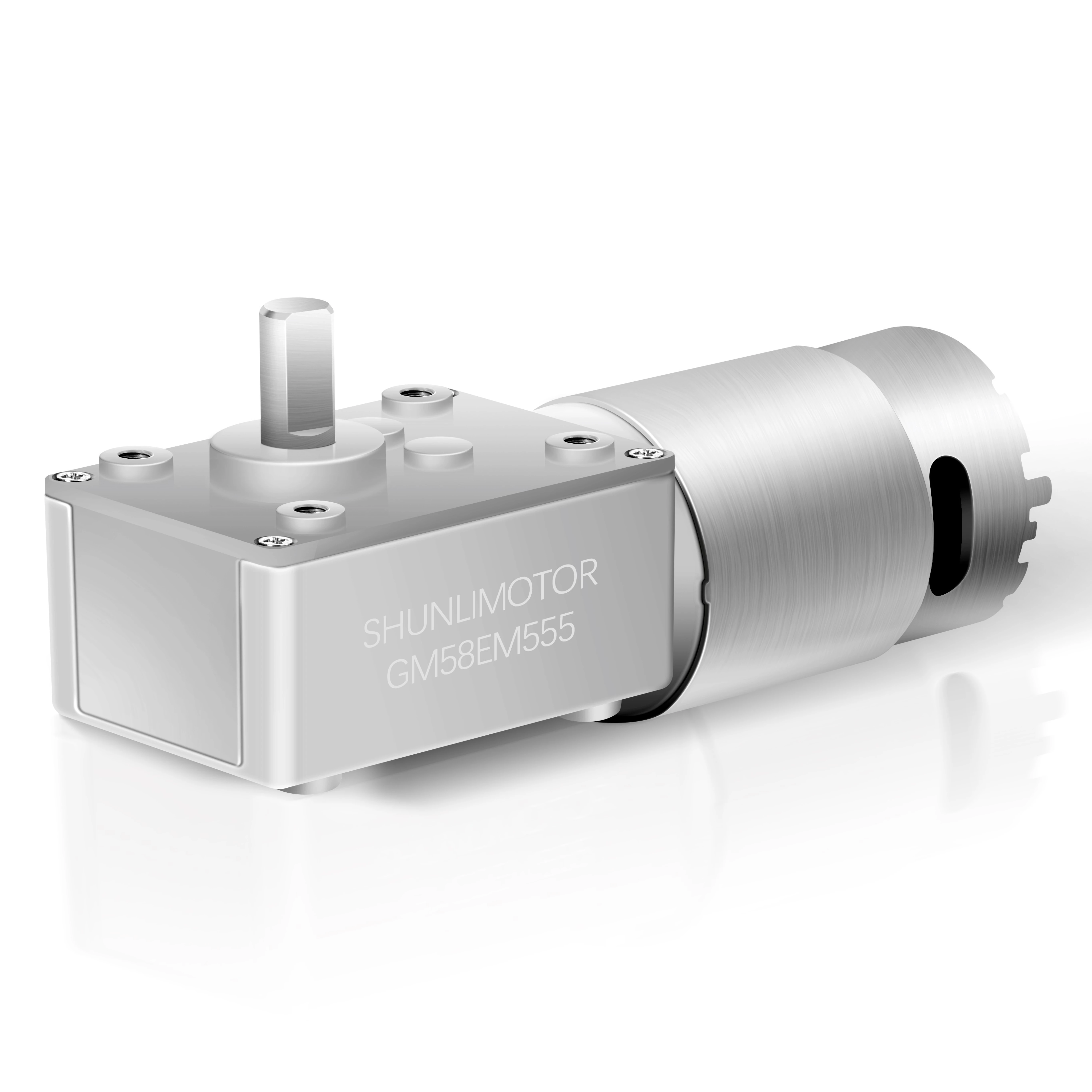 Shunli Custom Hotec Htwog58a1260 Worm Gear Motor Motor Reductor Worm n20 Worm Gear Box 12 Volt Dc Motor