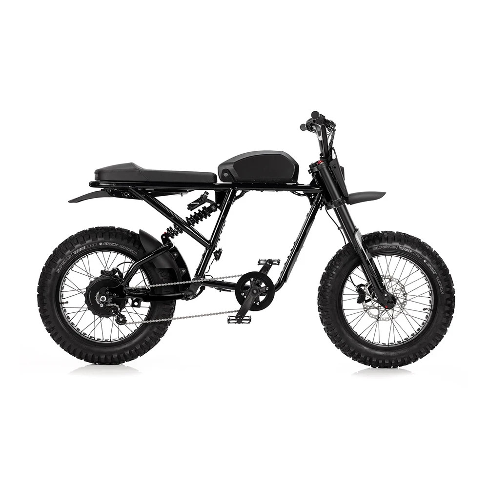 2022  20 inch Off Road Electric Dirt Bike with  48V 17.5Ah 750W hub motor fat tire electric bike for adults