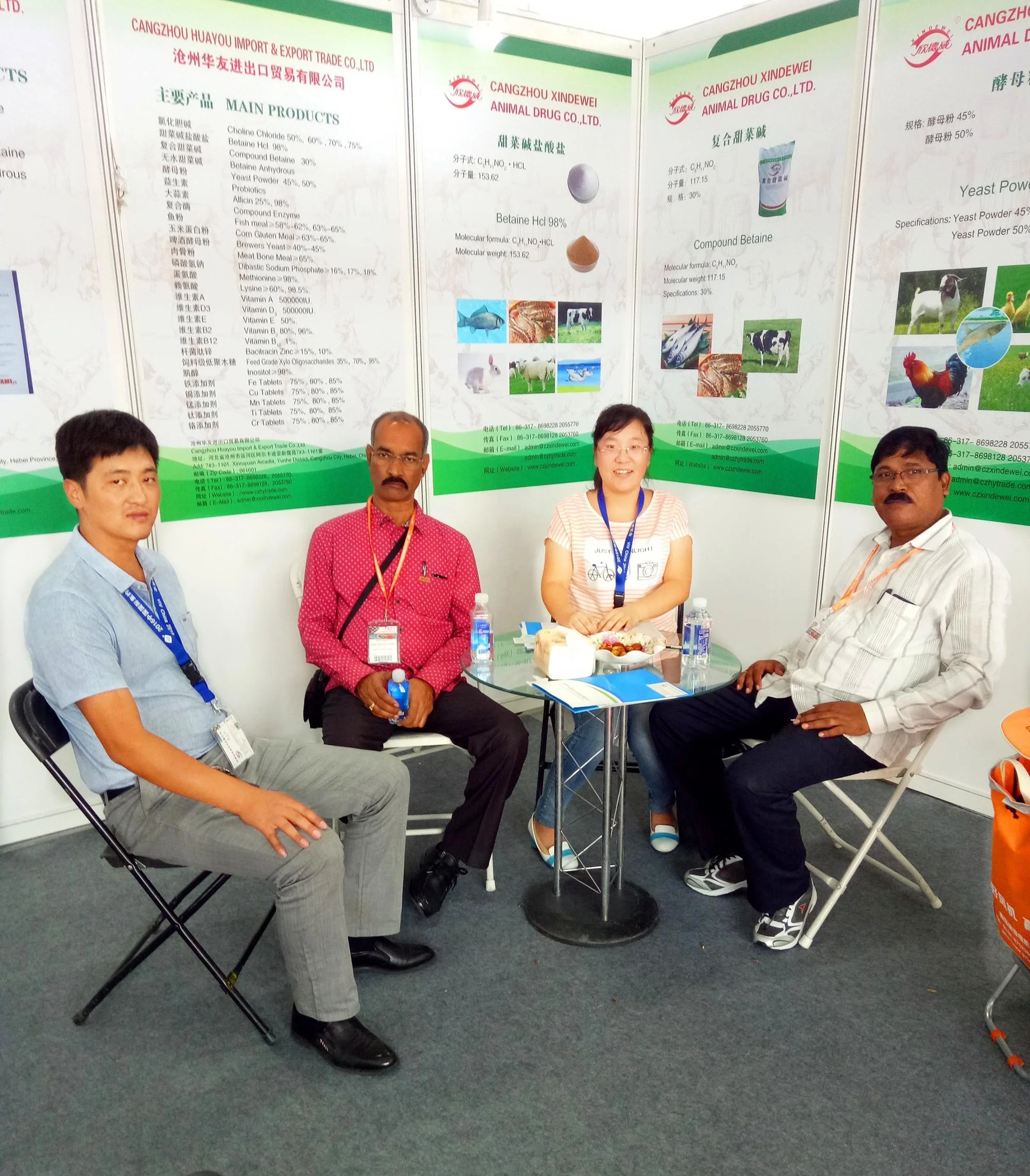 High quality  choline chloride 70% vitamin B4 67-48-1 used for animals feed additives VITAMIN B4