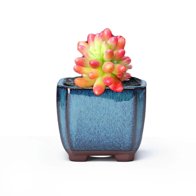 Succulent plant miniature purple sand ceramic small flowerpot miniature bonsai indoor desktop decoration