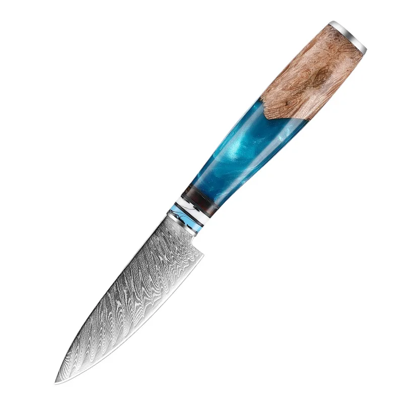 Luxury Blue Resin Handle Damascus Steel Knife Chef  Cooking VG10 67Layers Japanese Kitchen Knives Damascus Knife Set