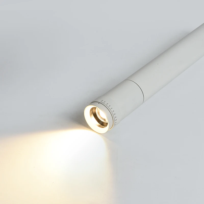 Long Arm Length Zoomable LED COB Down Spot Light For Restaurant Art Gallery Lighting
