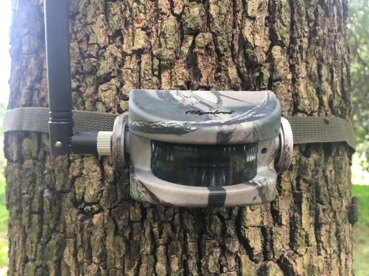 Security Sensors Motion Detector Alarm Sensor Transmitter for Olymbros Infrared Alarm Watch (Only Sensors,No Watch)