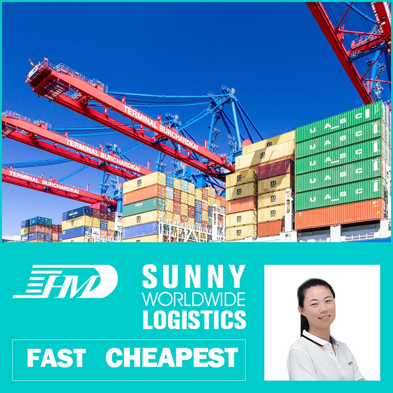 swwls ddp freight forwarder china qingdao ningbo to door sea shipping dubai miami cameroon