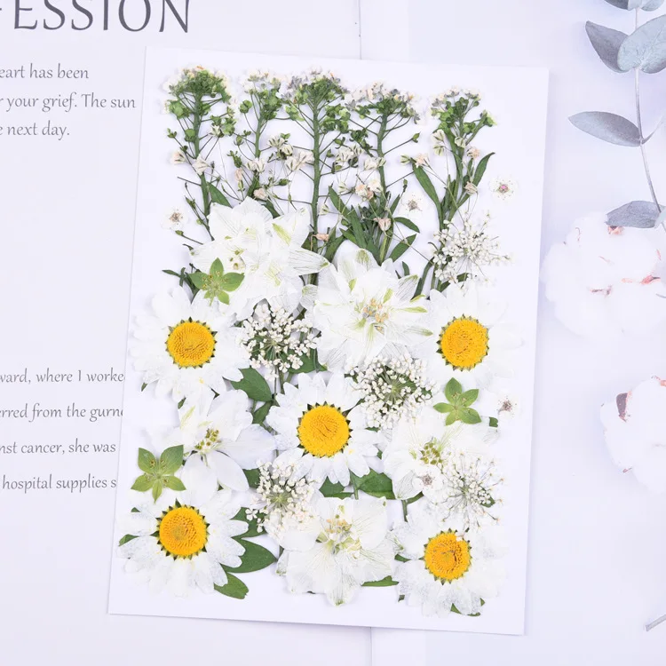 flat mixed dried pressed flowers natural plants press daisy for resin and nails