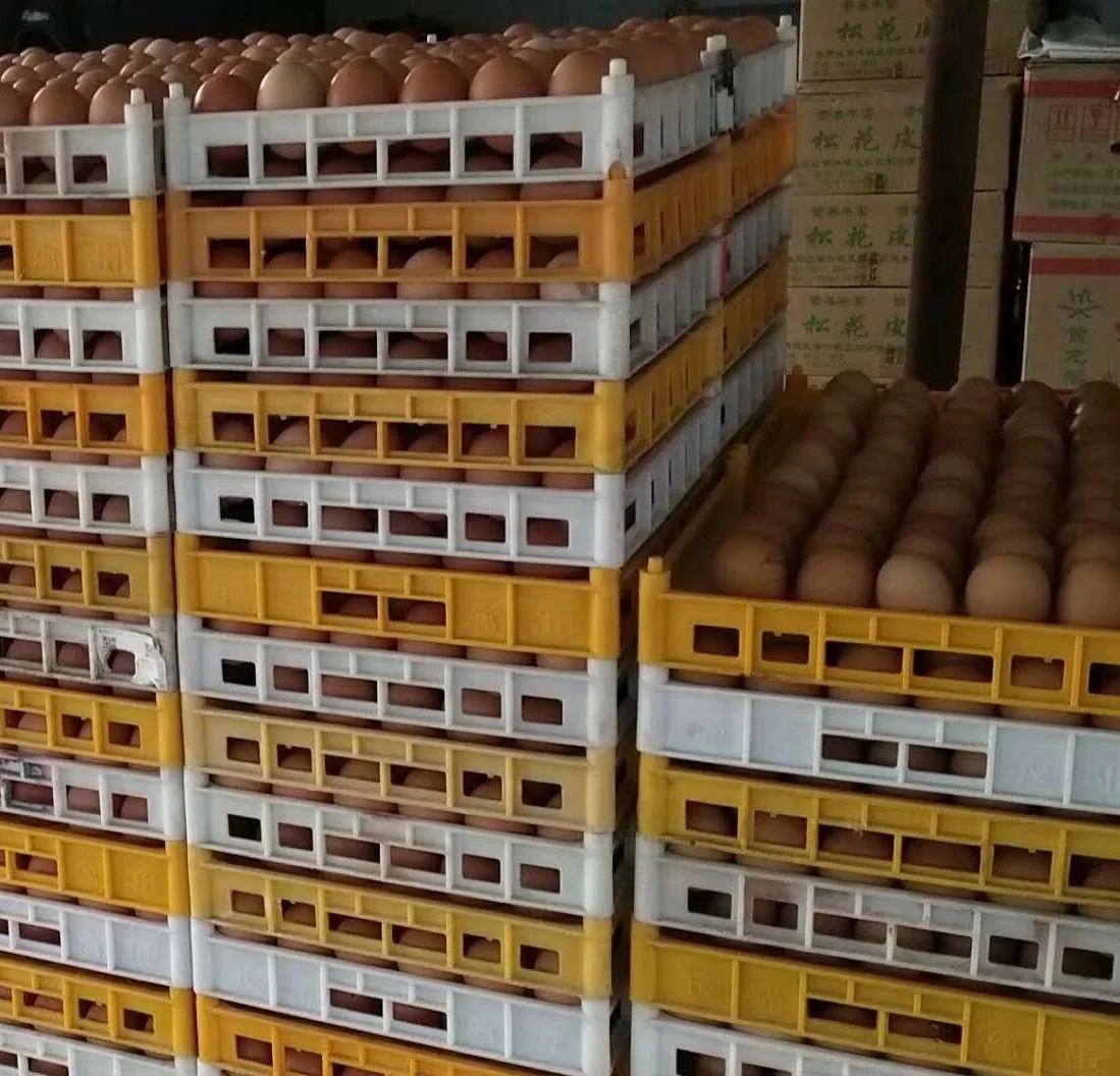 Пластиковая коробка для