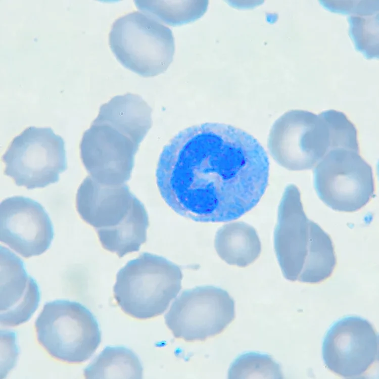 Determination standard solution ICP100mg/L ICP1000mg/L 50ml 100ml Palladium cas no 7440-05-3 Pd gray liquid