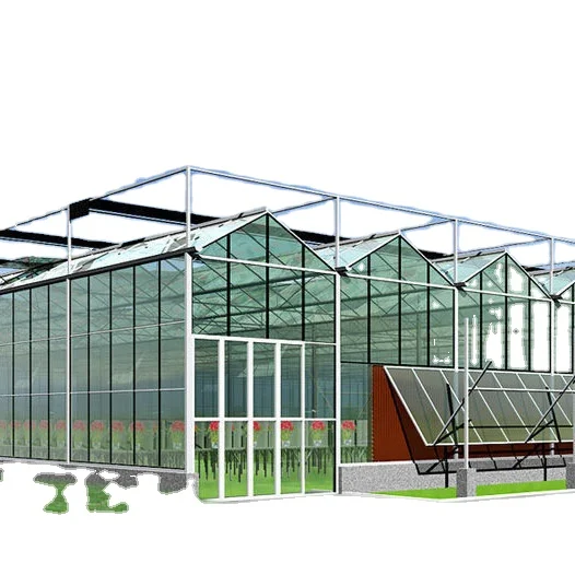 Sainpoly самые выгодные предложения в сельском хозяйстве многопролетные стекло Парниковый Сад Серра agricola для продажи