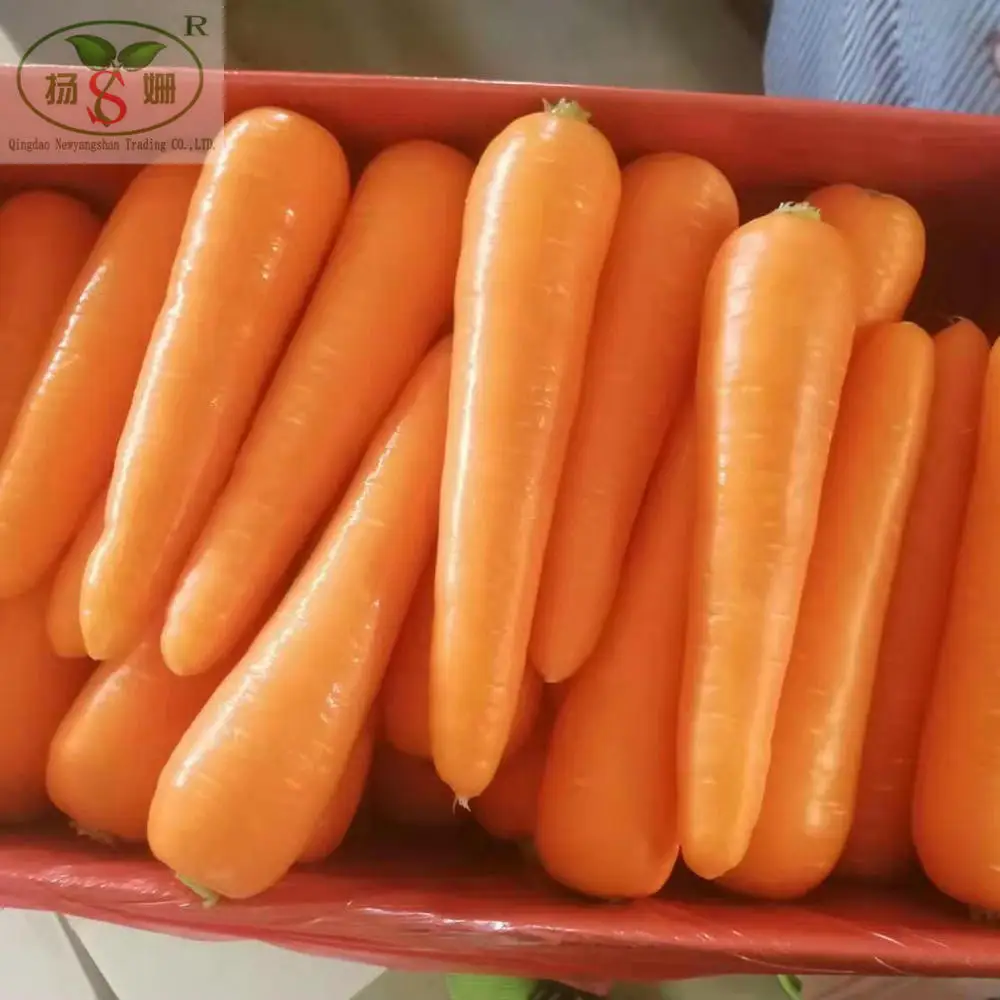 Alibaba Gold Supplier Information Carrot carton packing specializes in exporting to Thailand, Singapore, Malaysia, Philippines