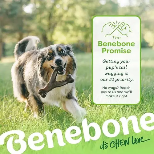 Wishbone Dog Chew Toy Durable Real Bacon Flavored Eco-Friendly  Chewers Medium Size Bone Nylon PP Shape Pet Bite Resistant