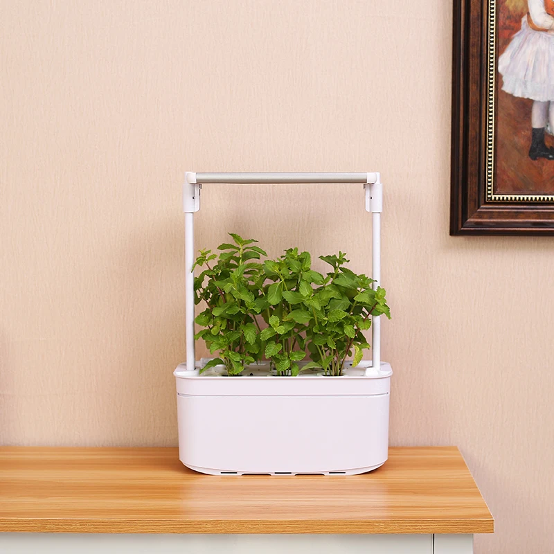 Shenzhen Creative Led light indoor mini smart garden for plants hydroponic smart garden flower planter home garden flower 6 pots