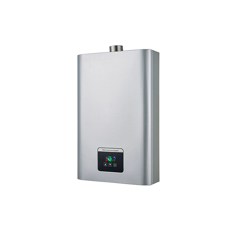 Wholesale CE 10L13L16L Smart Electric Gas Hot Water Heaters Energy Efficient Wall Mounted for Household or Hotel Use
