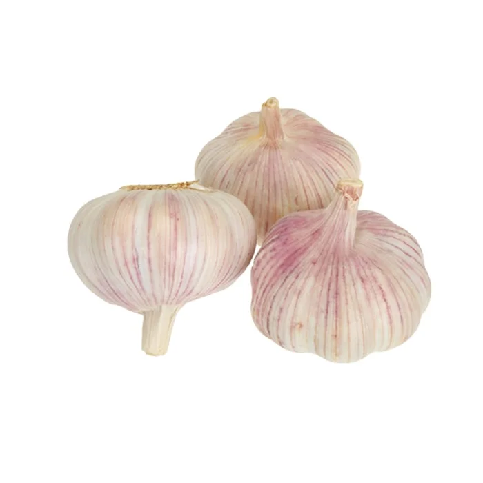 China Vegetable Fresh White Garlic top quality garlic price per ton in China organic garlic