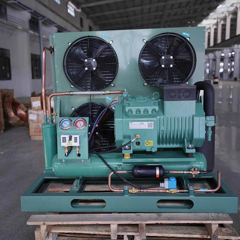 4FES-5Y Reciprocating Compressor Bitzer Refrigeration Condensing Unit 5 HP 3.5KW -10℃