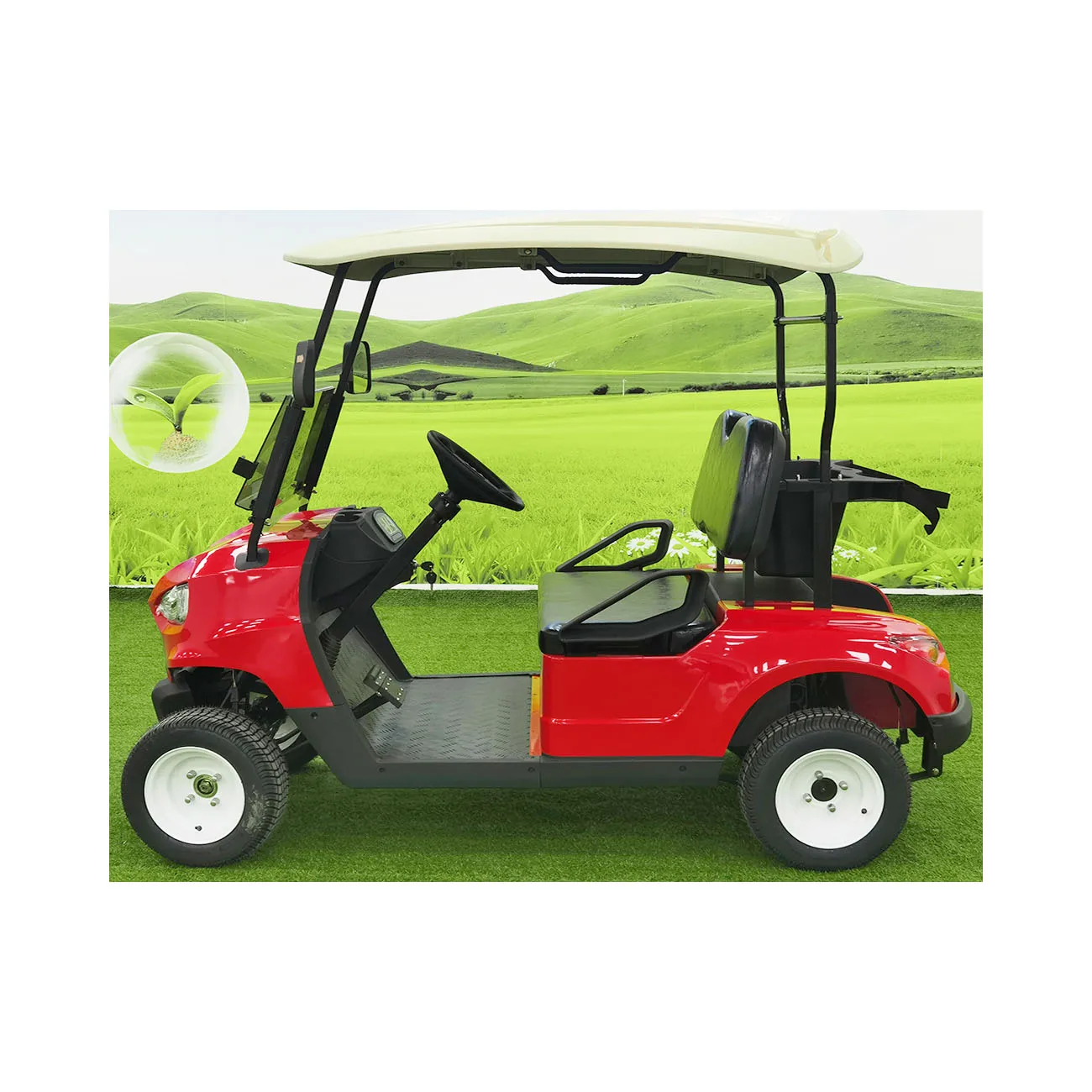 Factory Supply Mini Electric Customized Color Two Seats Golf Car With Suspension System