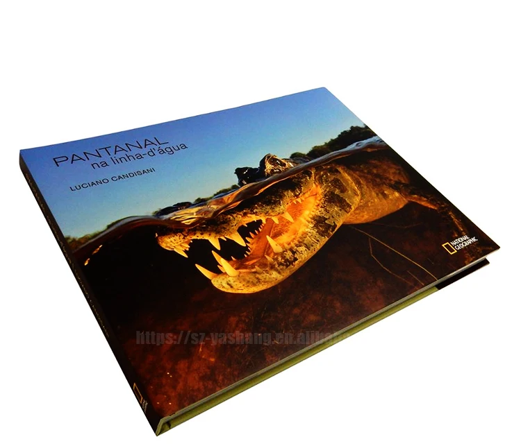 Custom Printed A4/A5 Soft Cover Full Color Workbook Booklet Book Catalogue Brochure Printing