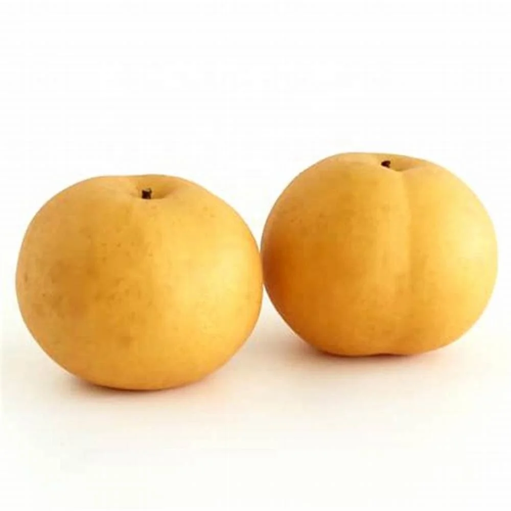 Fresh Pear China Export from China Hot Sell Wholesale Crown Pear