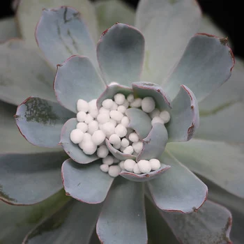 
hot sale industry urea 46 fertilizer 