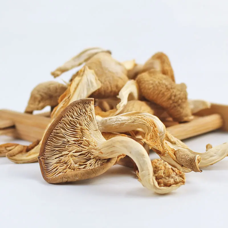 Оптовая продажа, Высококачественный блок устричных грибов, сушеные устричные грибы, цена