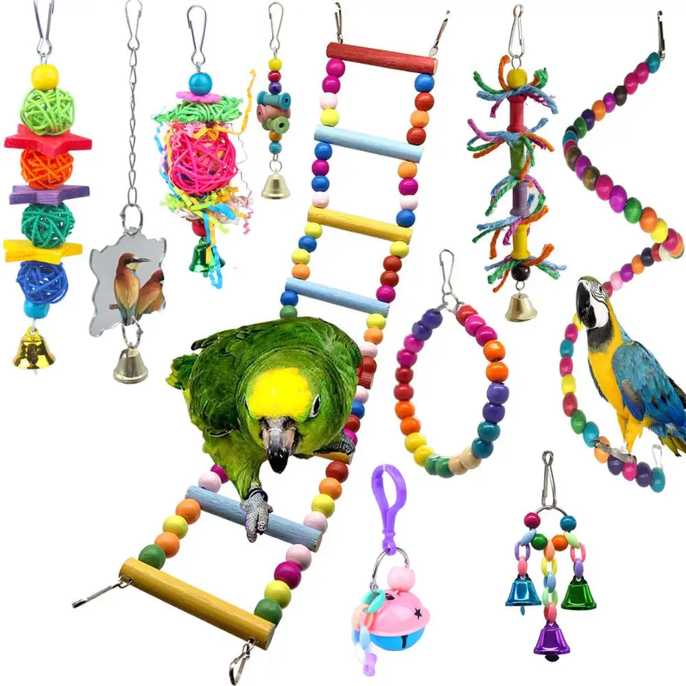 
Bird Cage Toys Parrot Toys Bird Bird Toys Parrot 
