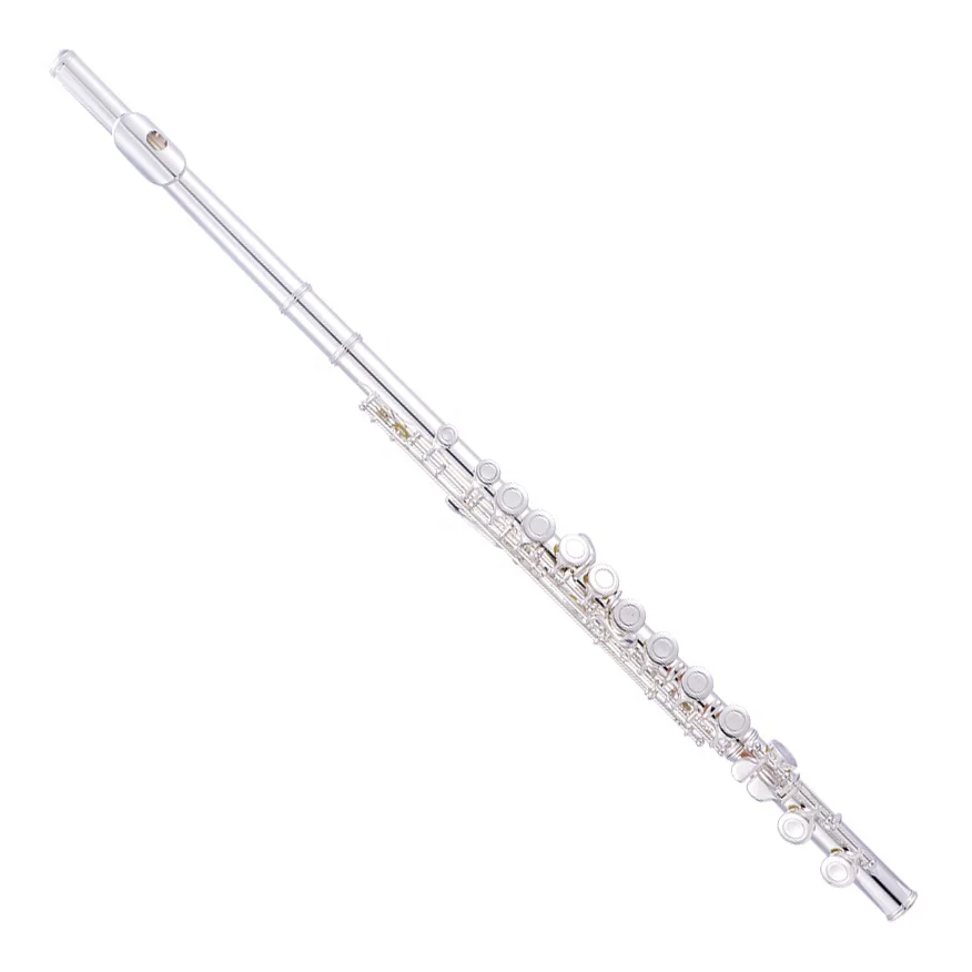 Accept OEM 16 Holes Cheap C Silver Closed Flute For Students