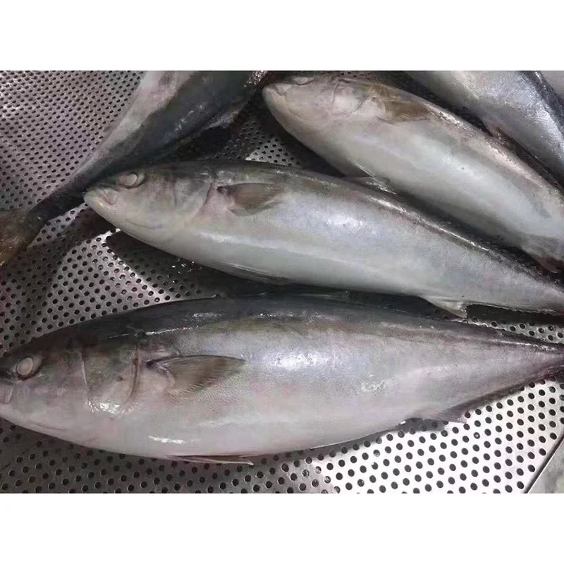 Горячая Распродажа замороженные морепродукты IQF с желтым хвостом рыба цена скумбрия для рынка 8 кг