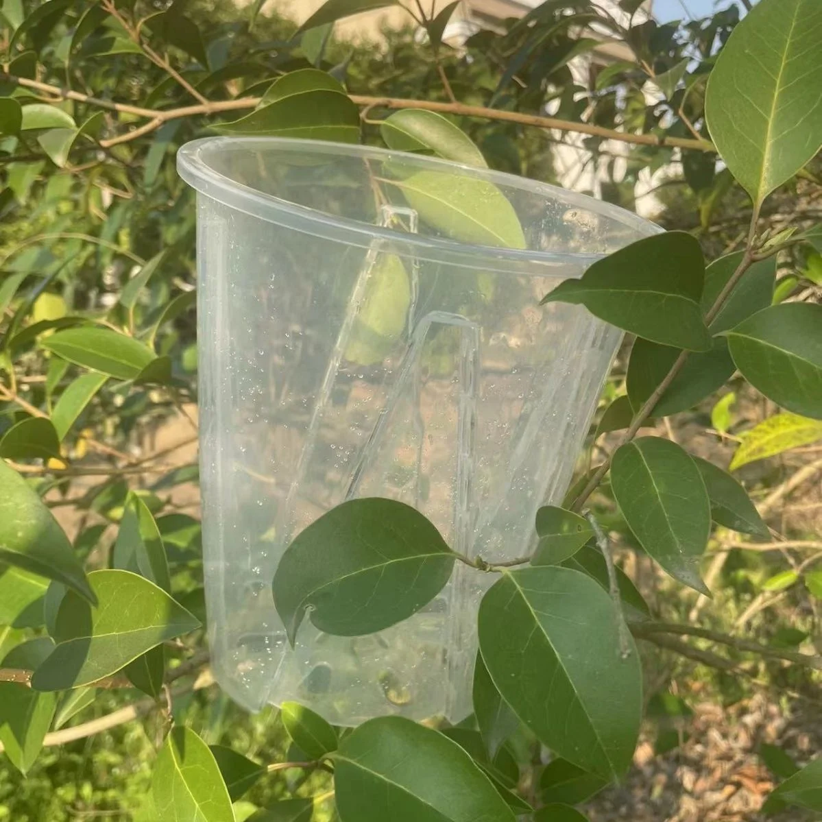 china factory cheap garden supplies orchid pot with holes 4 inches transparent plastic flower pot