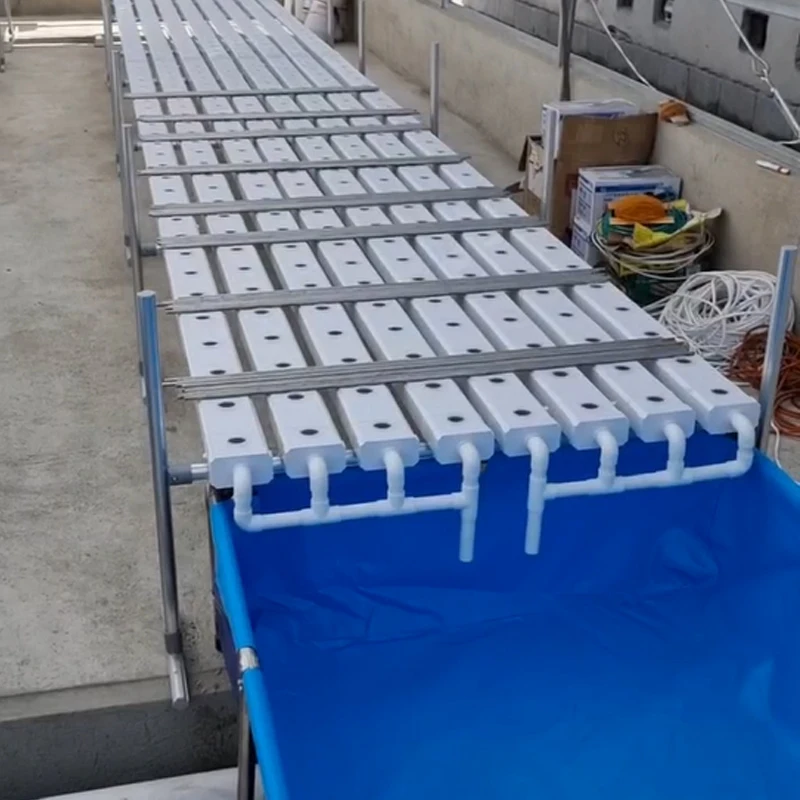 OMANA Aquaponic growing systems aquaponics system farm Aquaponics System For Fish And Vegetable