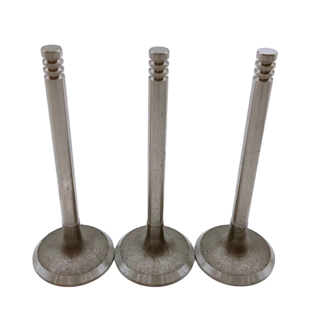 OEM Standard Size Wholesale Price Customize 3RZ Intake Exhaust for Toyota Engine Valve