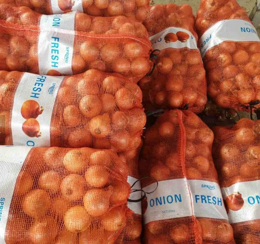 2022 new crop Best Fresh Onion with good price yellow onions and red onion fresh for export
