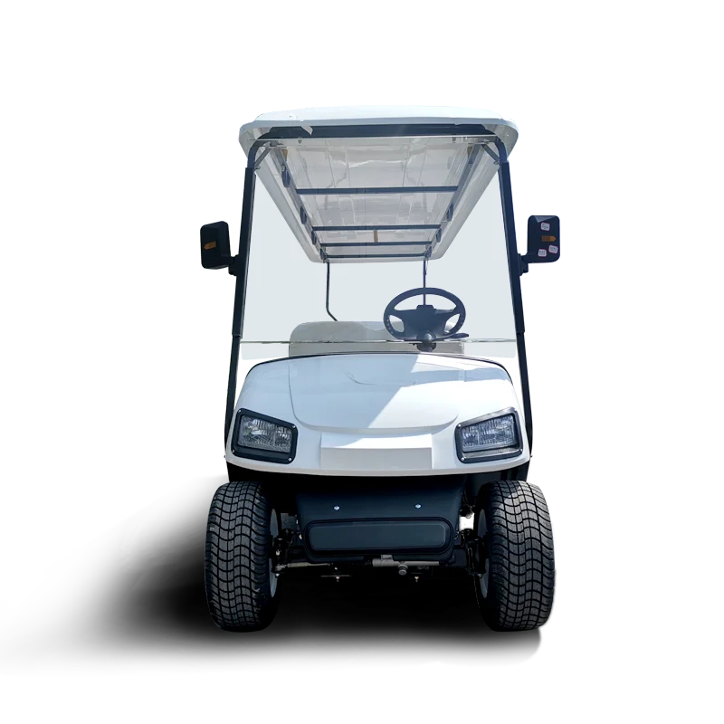 2020, задний привод, режим вождения, электрический гольф-автомобиль, 8 Сидений